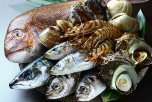 柳橋市場直送!季節のお魚